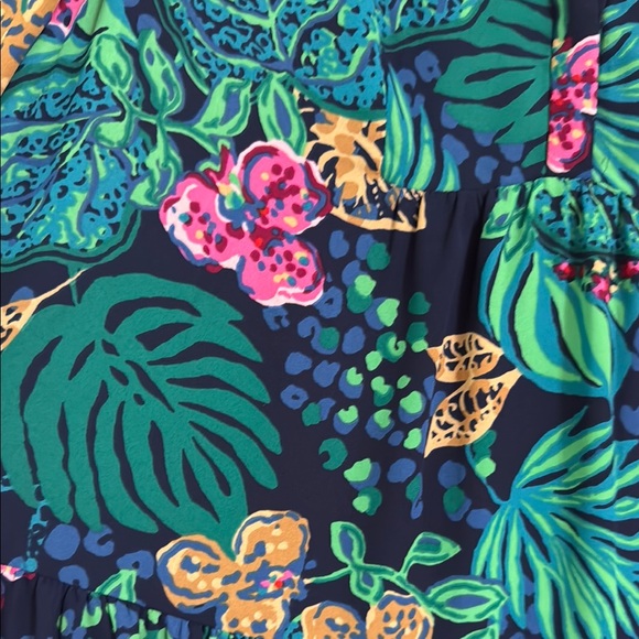 Lilly Pulitzer Gabriel Dress - Picture 5 of 6